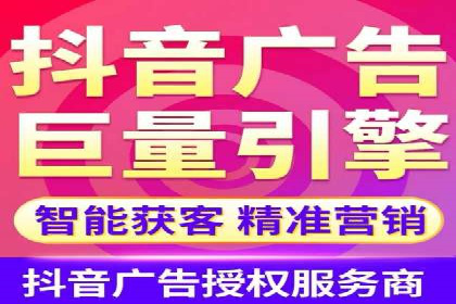 专业SEM服务公司案例分析报告