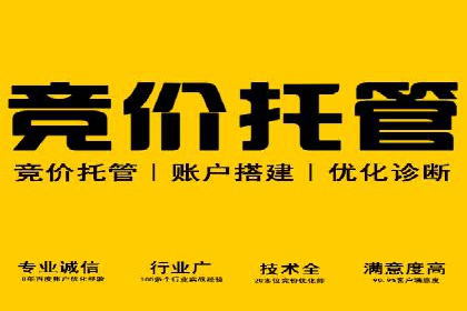 SEM推广案例：数据分析与优化